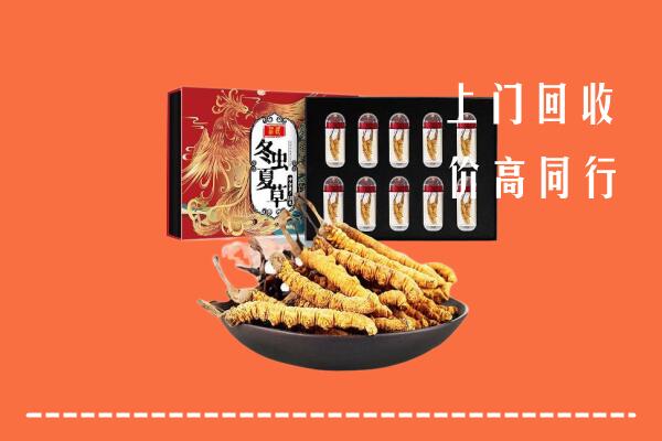 富宁县高价回收虫草